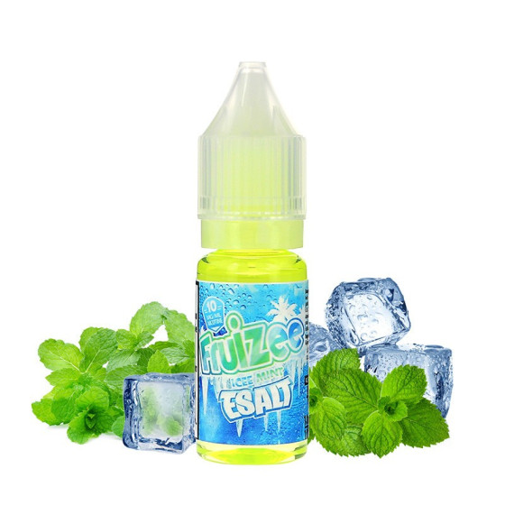 E Liquide Icee Mint Esalt 10 ML Eliquid France