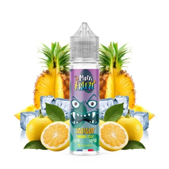 E liquide Saligot Ananas Yuzu 50ml Liquideo Multi Freeze