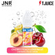 E liquide JNR & Tjuice 10ml (Boite de 10)